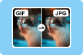 GIF a JPG
