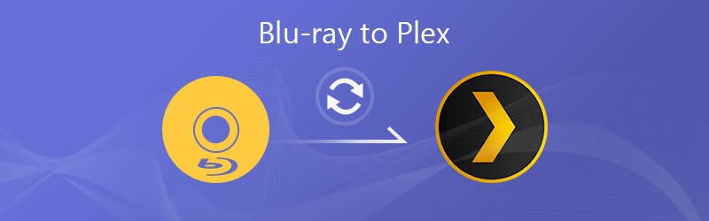 best dvd ripper for plex media center