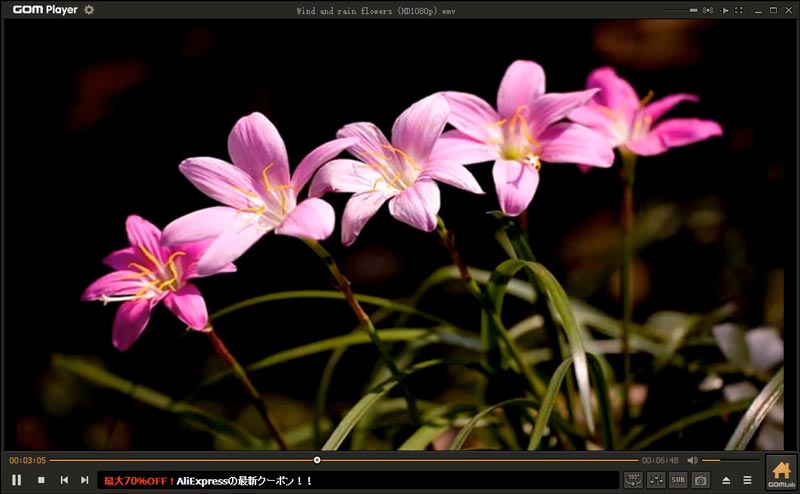 mac media player wmv