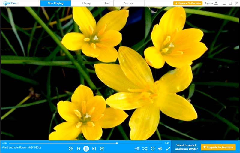 Realplayer Play файлы RMVB