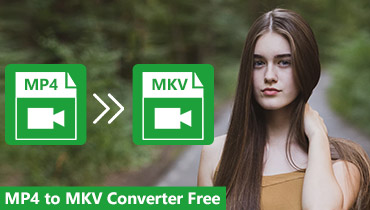 whats the best full free mkv to mp4 converter