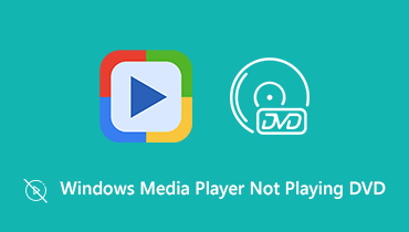 media player stops working