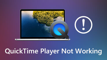 quicktime player does not have access to the microphone
